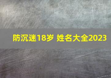 防沉迷18岁 姓名大全2023